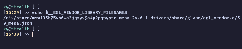 Image of terminal displaying the changes made to the environment variables